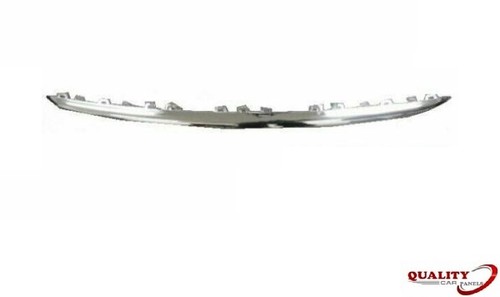 Front bumper grille - grille, lower