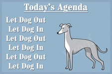 Greyhound Whippet Lurcher Dog