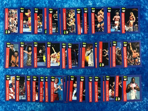 Wwf superstars 1991 wrestling - wwf,