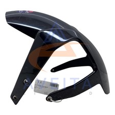 KTM 125 DUKE 2011 Front mudguard