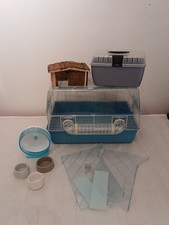 Hampster rodent small animal - hampster/rodent,