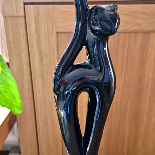 Glossy black ceramic - glossy,