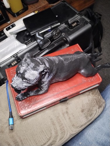 Staffordshire bull terrier new - terrier,