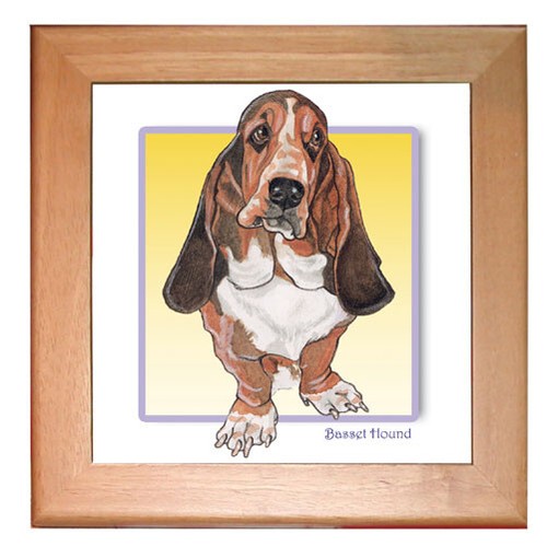 Basset hound dog kitchen - basset,