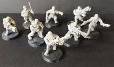 Warhammer 40k 8 Catachan
