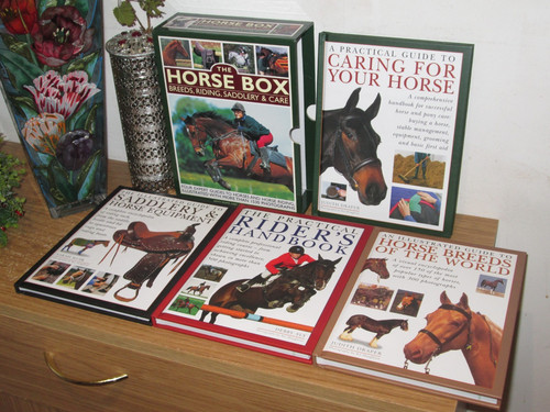 The horse box breeds riding - box,