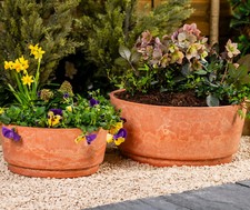 Garden Gear Caesar Terracotta