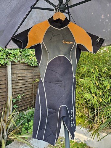 Pegaso mens large 3mm - large, full