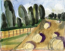 Hay Fields, ELIZABETHA FOX