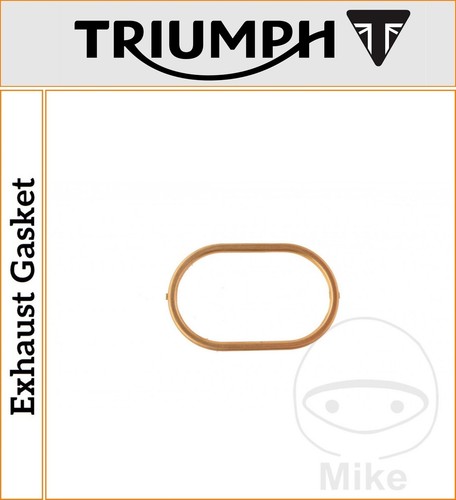 Triumph thunderbird 1700 storm - thunderbird,