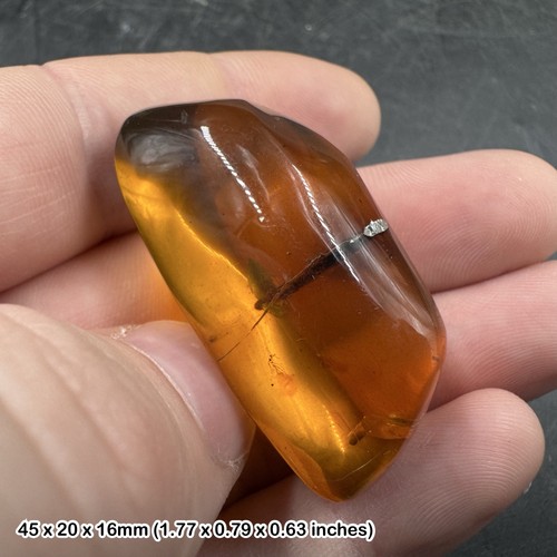 Genuine cretaceous amber with - genuine,