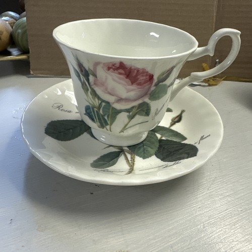 Roy kirkman redoute rose - roy,
