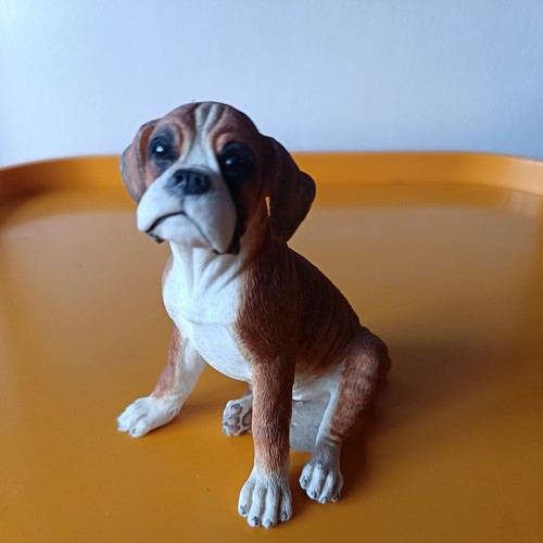 Country artists boxer puppy - boxer,