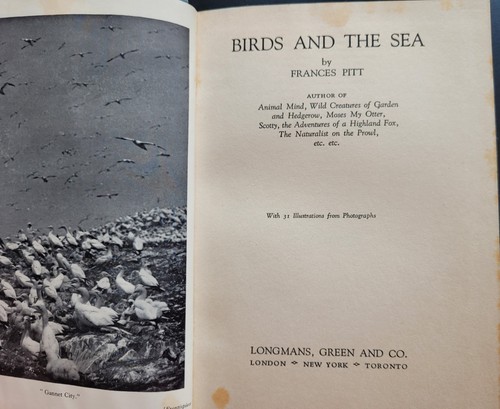 Birds and the sea - and, frances