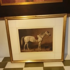 Framed Antique horse print