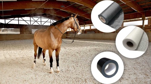 Entry level 40m horse - entry,