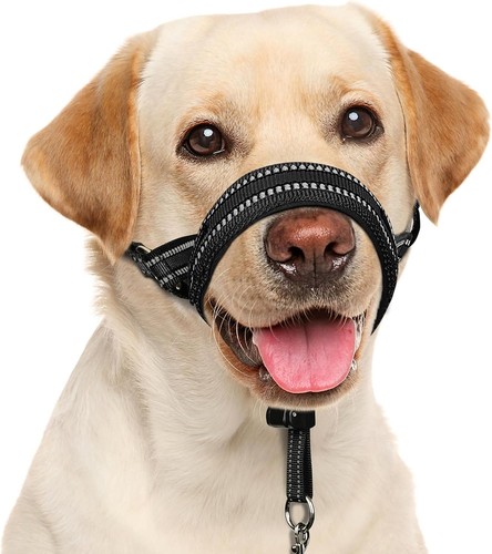 Mayerzon dog head collar - mayerzon,