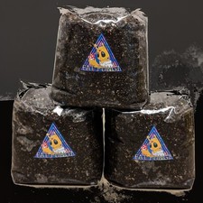 Dung Lover Mushroom Substrate - HPoo Coir Verm Poo Tek - Pan Cyan - Blue Meanie