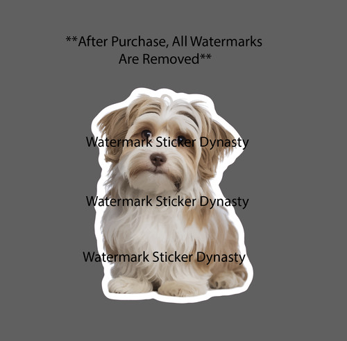 Havanese sticker waterproof - sticker,