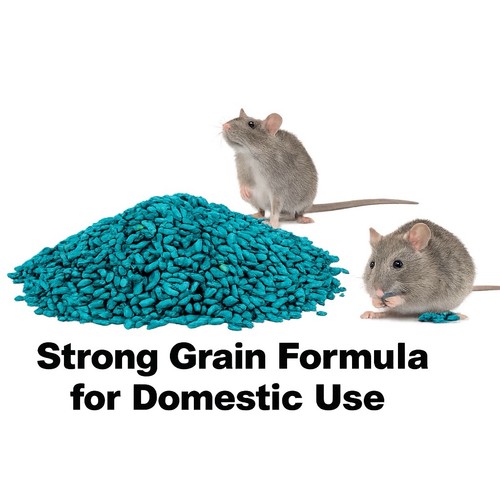 Rat mouse rodent poison - mouse, bait