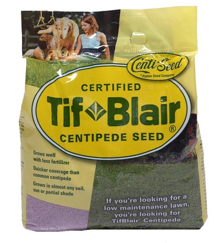 Tifblair centipede grass - tifblair,