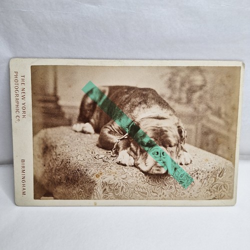 Victorian photo cabinet card - victorian,