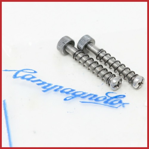 Nos campagnolo rear dropouts - rear,
