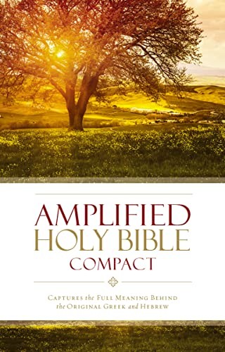 Amplified thinline bib comp - amplified,