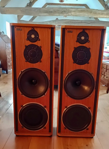 Celestion ditton studio - celestion,