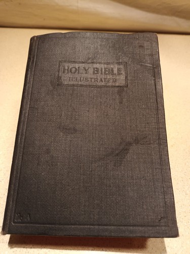 Holy bible illustrated - bible,