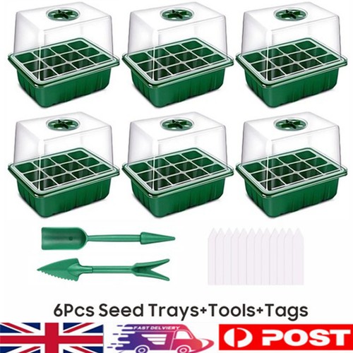 Pack cells propagator - 6,