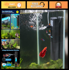 Small fish tank - fish, filter