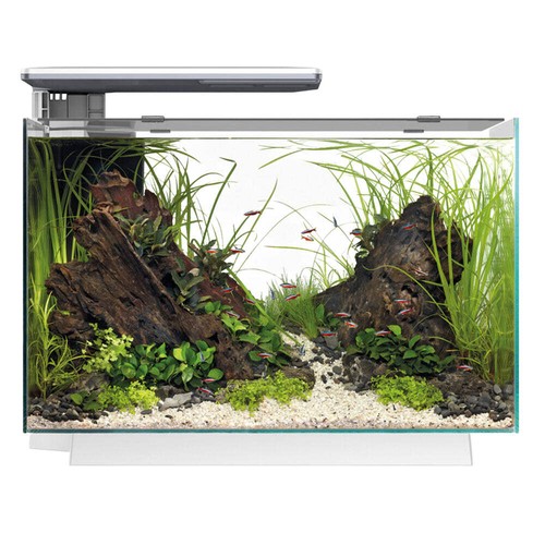 Superfish quadro pro - superfish, led