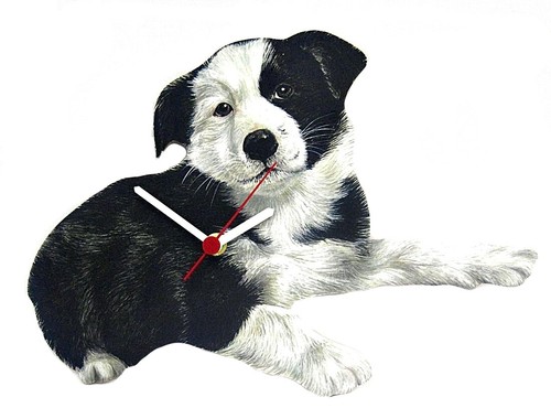 Border collie puppy clock - collie,