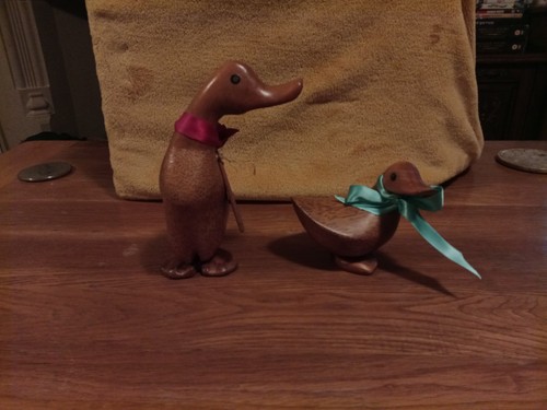 The duck company - company, molly