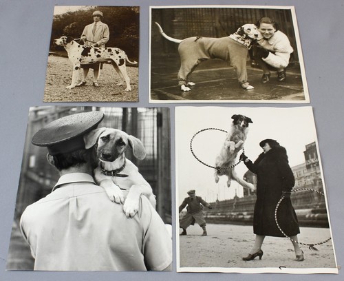 Dogs four vintage press - -,
