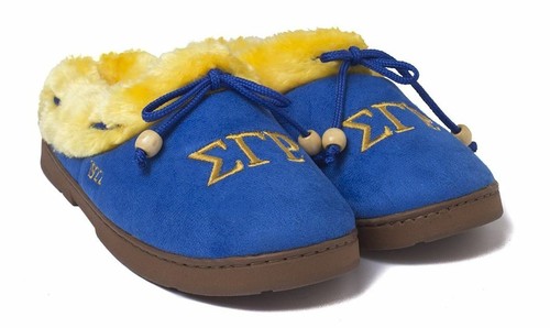 Sigma gamma rho - sigma,
