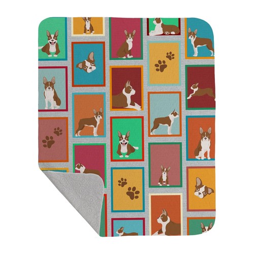 Lots red boston terrier - of,