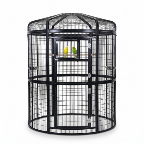 Large walk flight bird - large, walk-in
