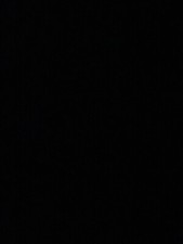 Vintage Raleigh Caprice by Liz