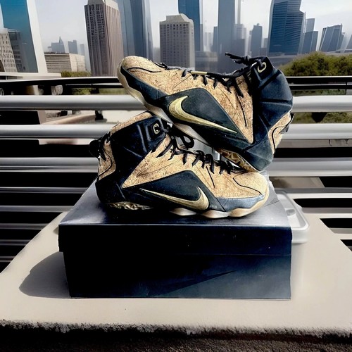 Nike lebron xii - 12,