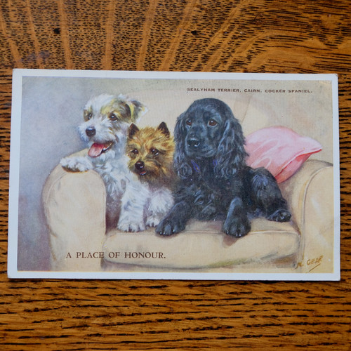 Vintage postcard gear - m,