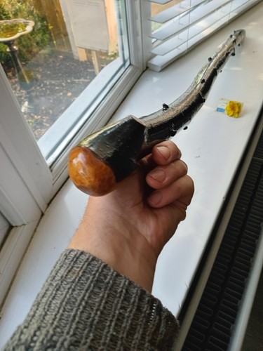 Irish blackthorn stick - irish, 38