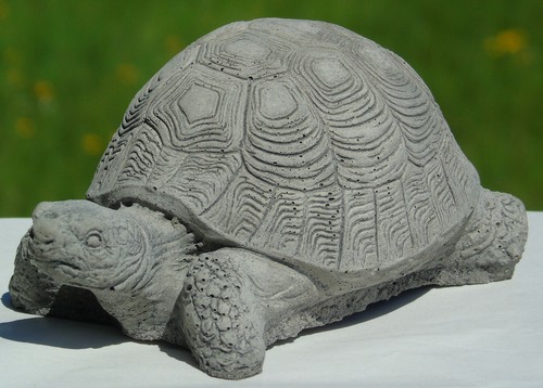Baby tortoise stone - stone, garden