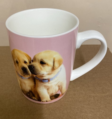 Rachaelhale golden labrador - 2,
