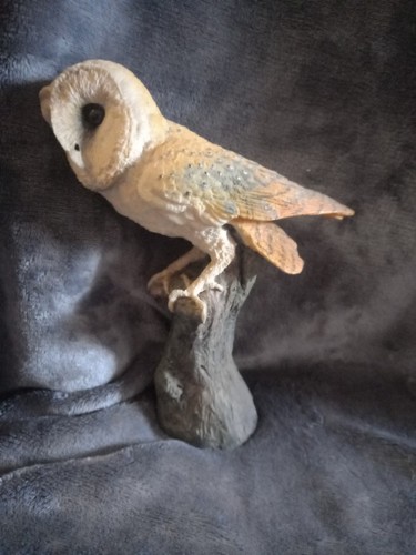 Large heavy barn owl - barn,