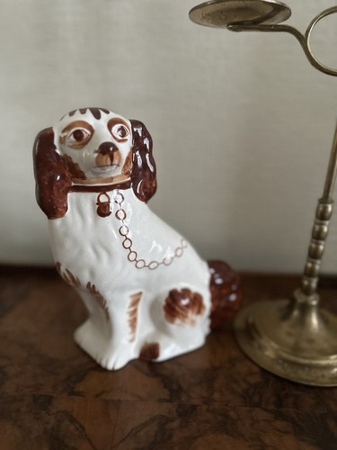 Vintage staffordshire spaniel - staffordshire,
