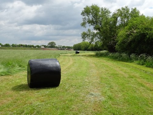 Photo 6x4 silage bales a - in,