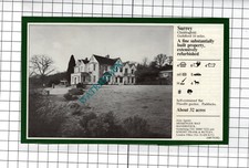 Chiddingfold Surrey House Sale Advert - 1981 Small Cutting