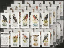 HIGNETT-FULL SET- BRITISH